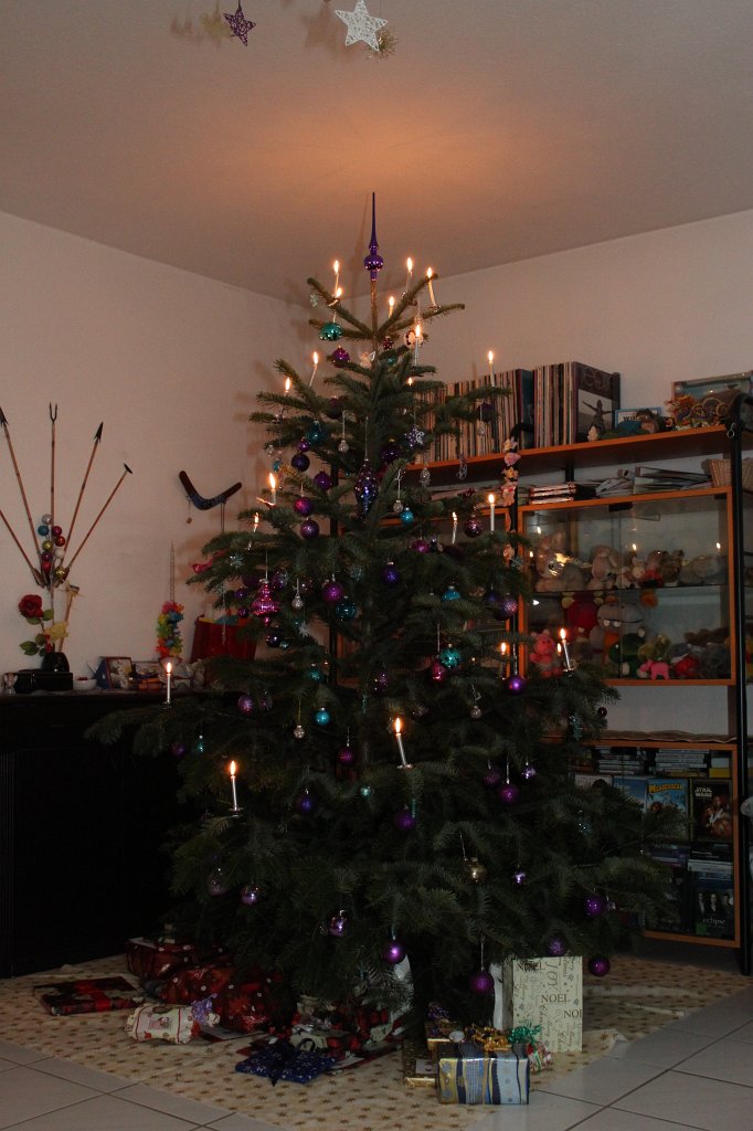 IMG_6170.JPG - Christmas tree with presents