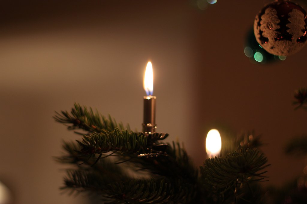 IMG_6179.JPG - Lights on the christmas tree