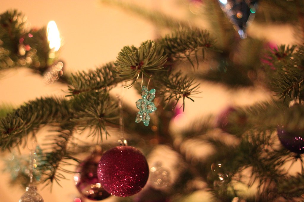 IMG_6182.JPG - Lights on the christmas tree
