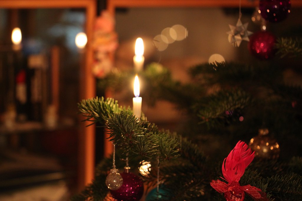 IMG_6209.JPG - Lights on the christmas tree