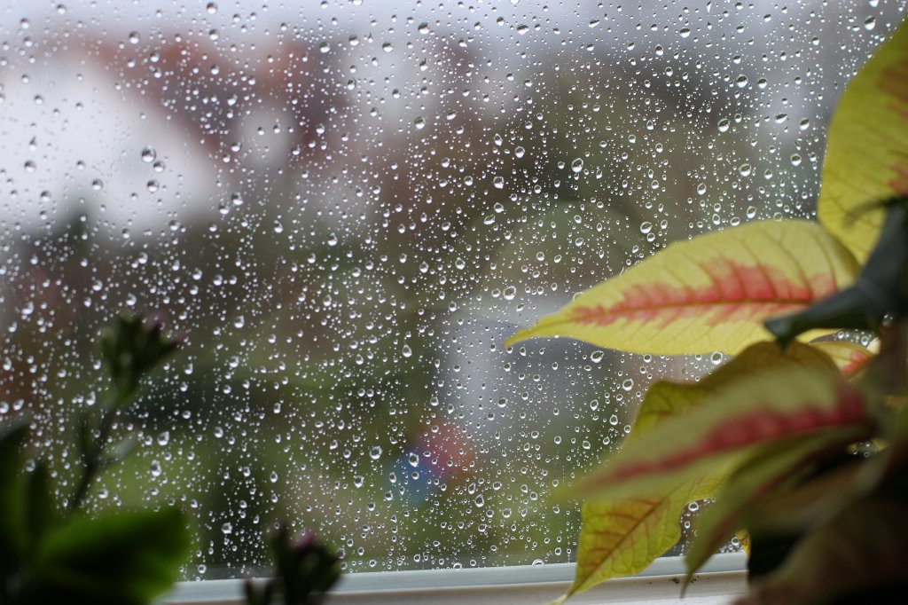 IMG_6360.JPG - Raindrops on the window