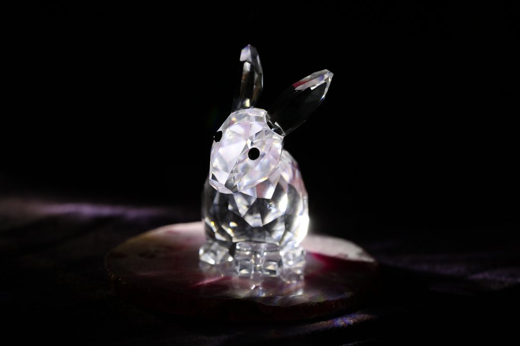IMG_6361.JPG - Crystal bunny