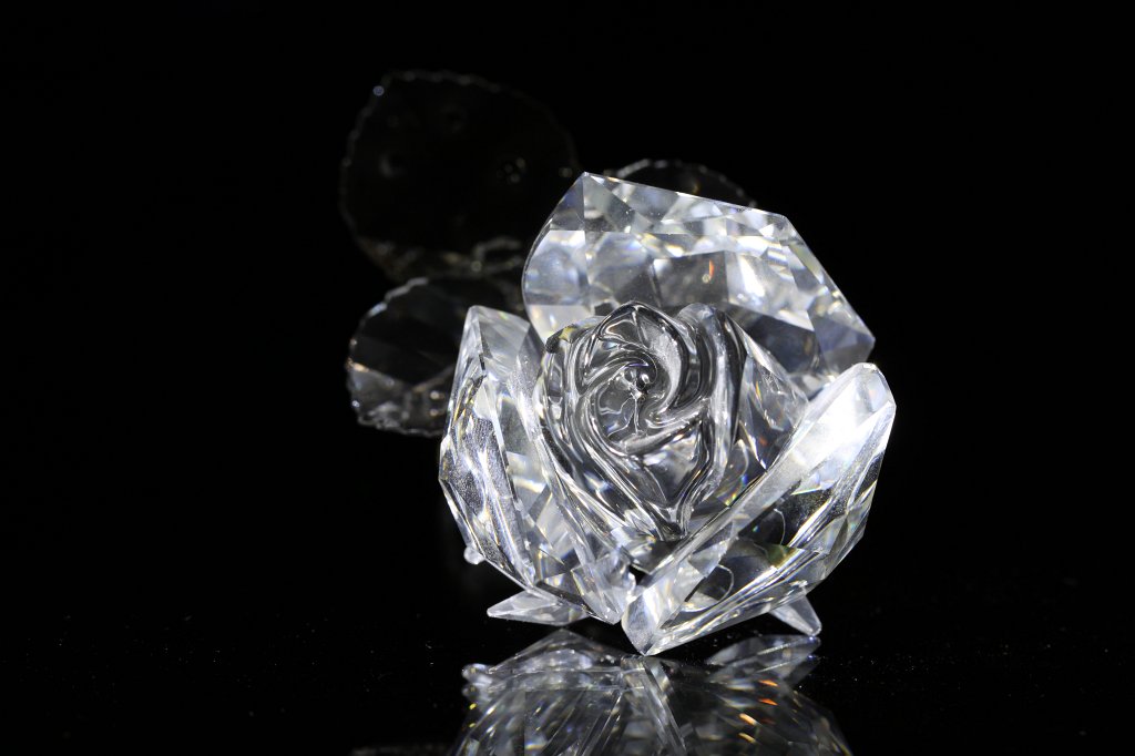 IMG_6362.JPG - Crystal rose