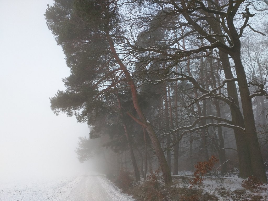 IMG_20160121_084352.jpg - Winter fog