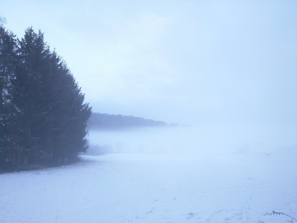 IMG_20160121_091759.jpg - Winter fog