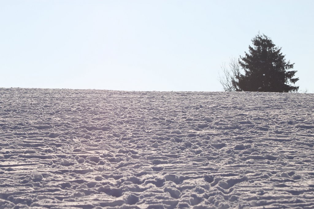 IMG_7692.JPG - Snow on Feldberg summit