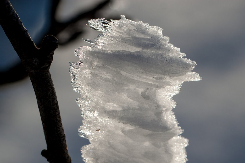 IMG_7703_c.jpg - Wind formed ice sculpture