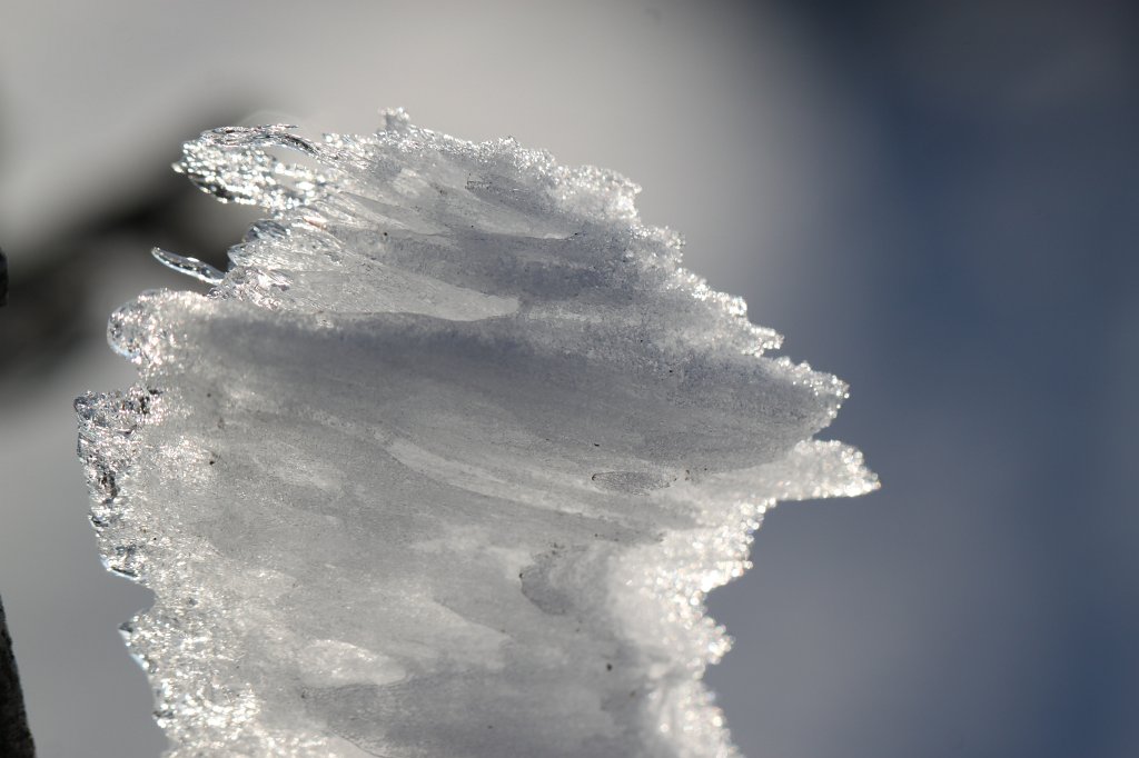 IMG_7705.JPG - Wind formed ice sculpture