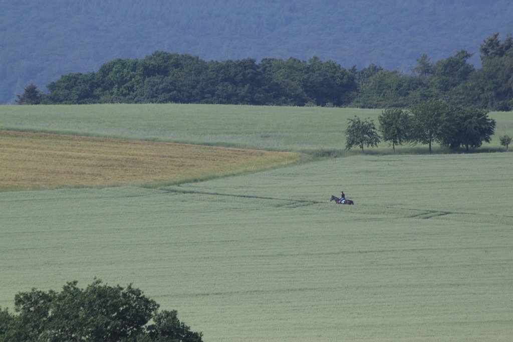 IMG_1875.JPG - Riding through the fields