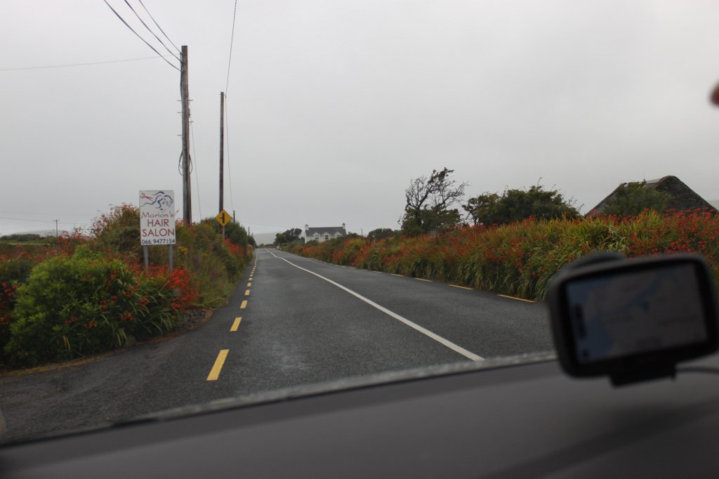 IMG_5421.JPG - Blooming Irish Road