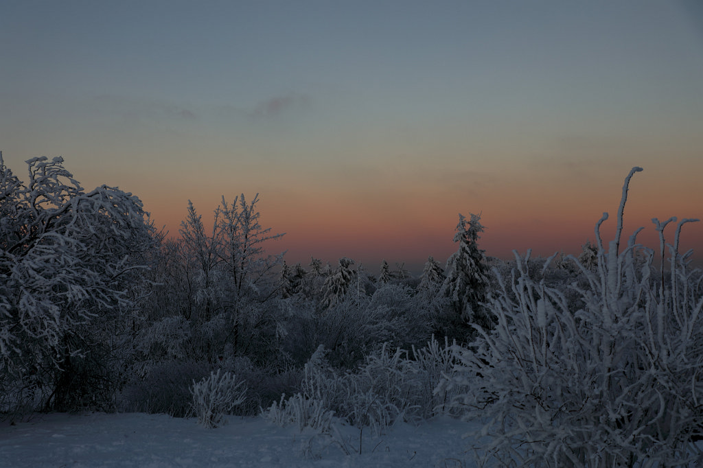 574A0911_c.jpg -  Feldberg  in Winter