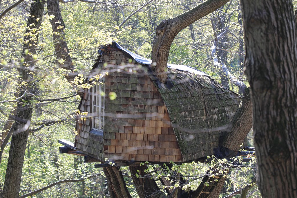 574A5012.JPG - Tree house (Baumhaus)