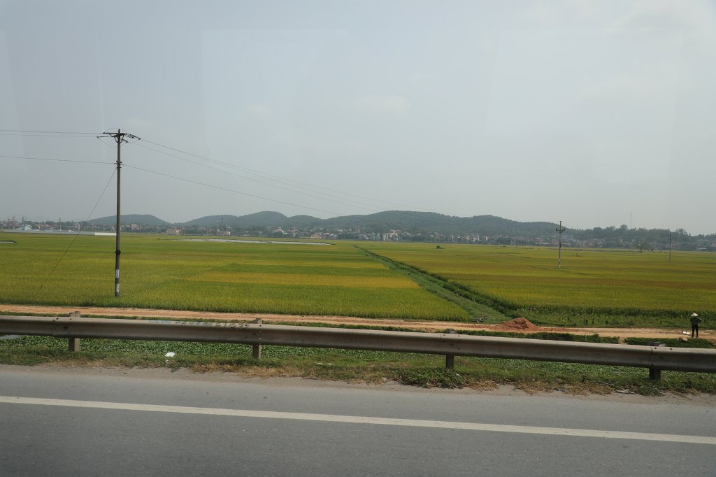 574A6053.JPG - Rice fields