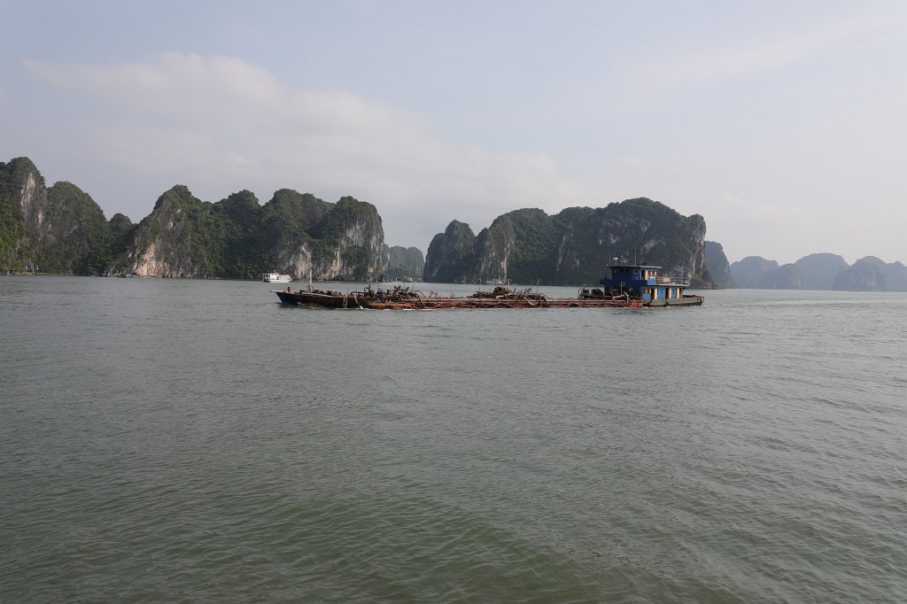 574A6408.JPG - Cruising  Hạ Long Bay 