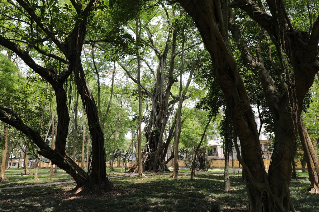 574A6623.JPG - Botanical Garden in Hanoi