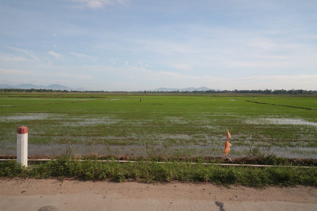 574A7678.JPG - Rice fields