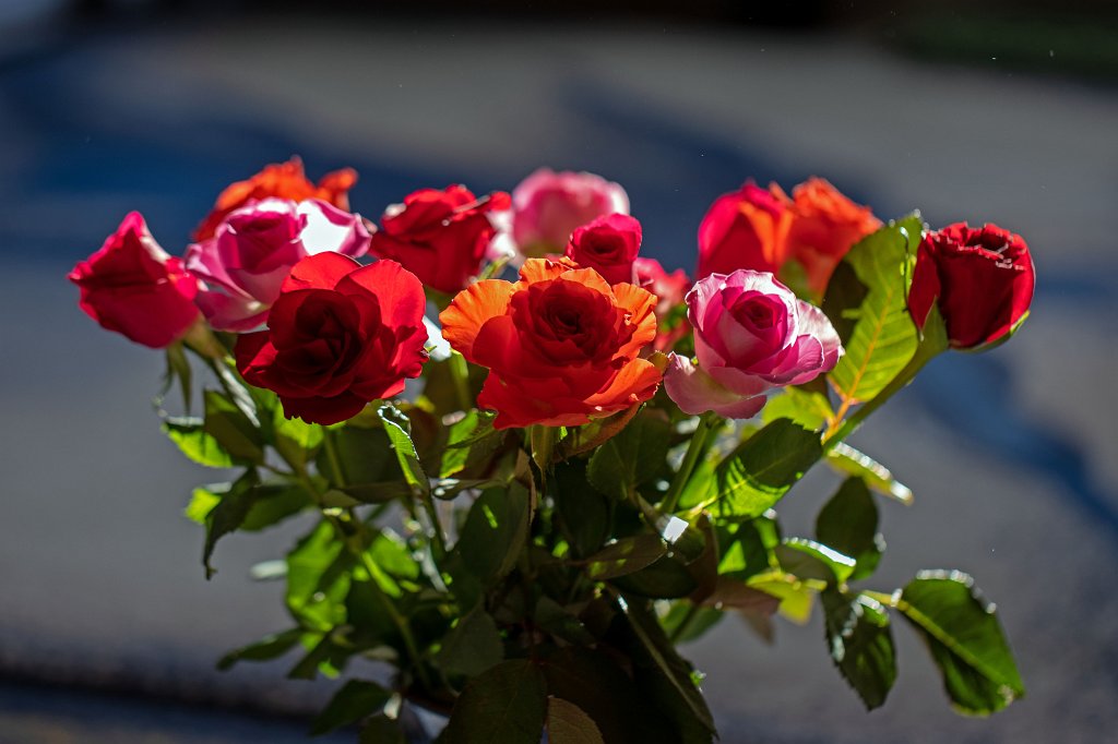 574B8570_c.jpg - Rose bouquet