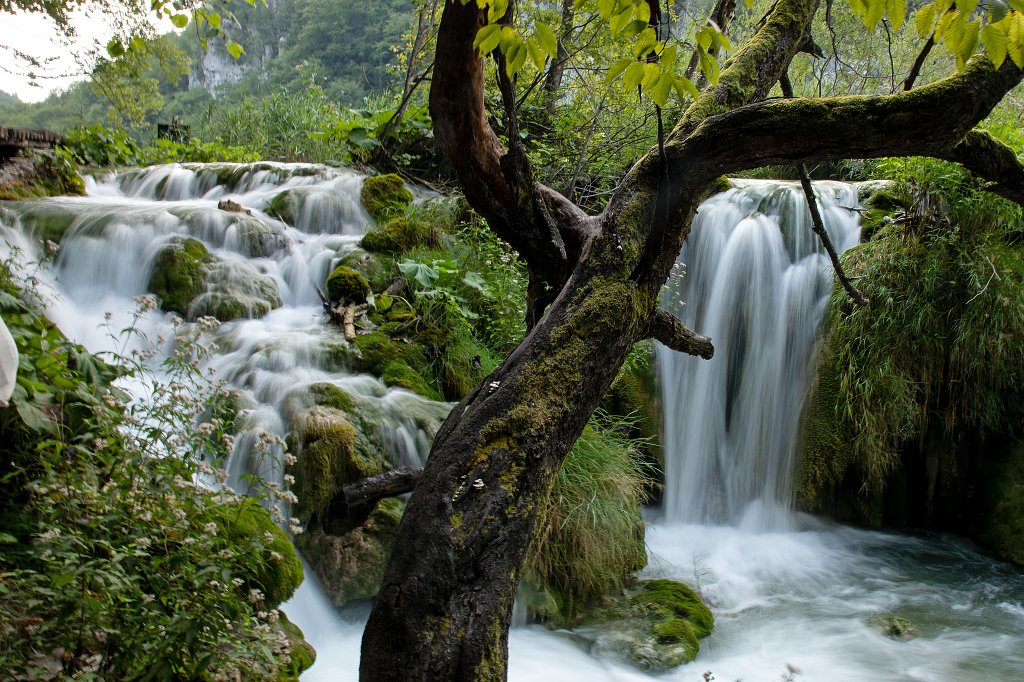 574B2902_c.jpg -  Plitvice Lakes National Park 