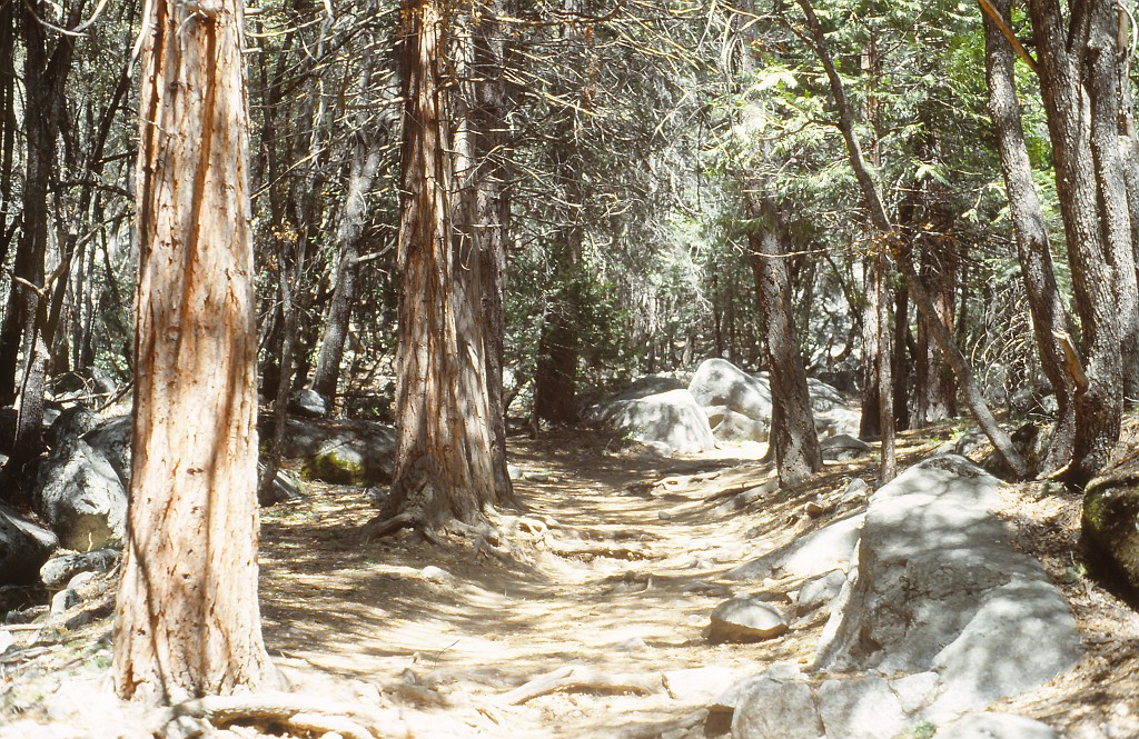 IMG_0139.jpg - Mist Trail in Yosemite National Park  http://en.wikipedia.org/wiki/Yosemite_National_Park 