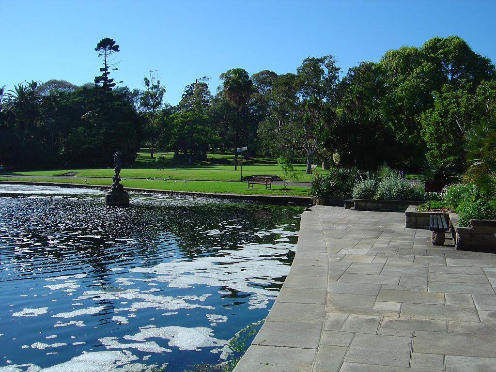 DSC02781.JPG - Sydney Royal Botanic Gardens