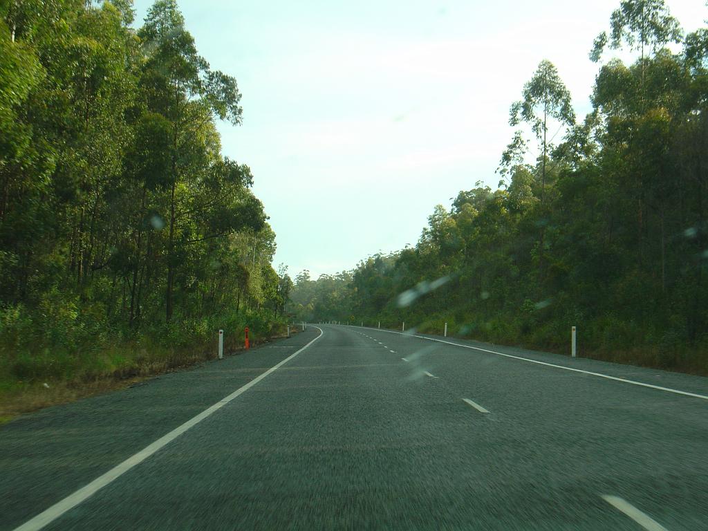 DSC03105.JPG - Pacific Highway - Port Macquarie to Sydney