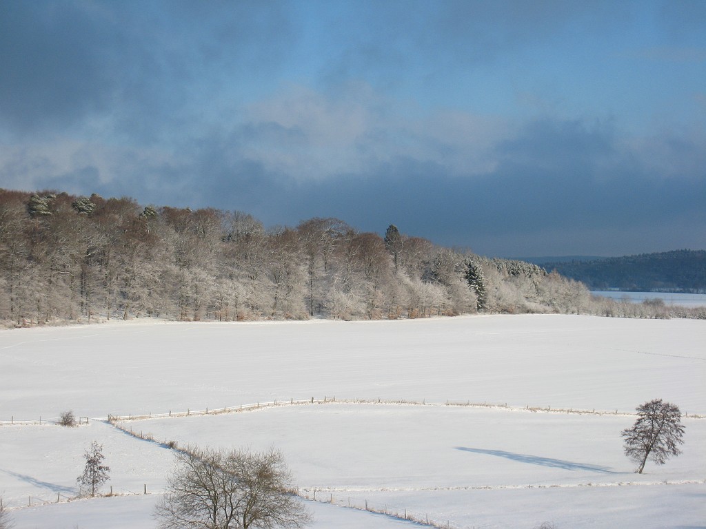 IMG_0285.JPG - Snow Forrest near Hausen-Arnsbach