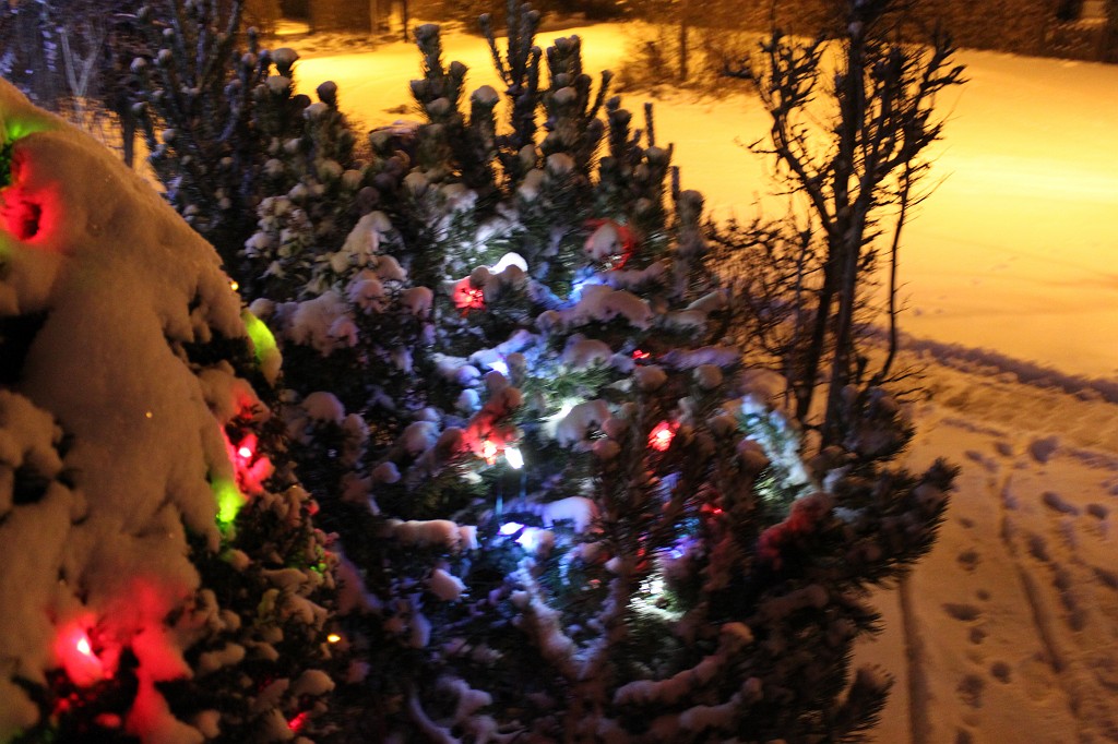 IMG_4292.JPG - Colour christmas lights and a snowy street