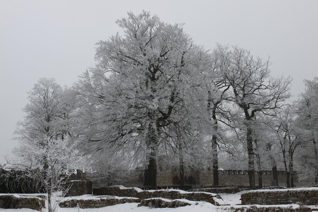 IMG_4448.JPG - Hoar frost around Saalburg