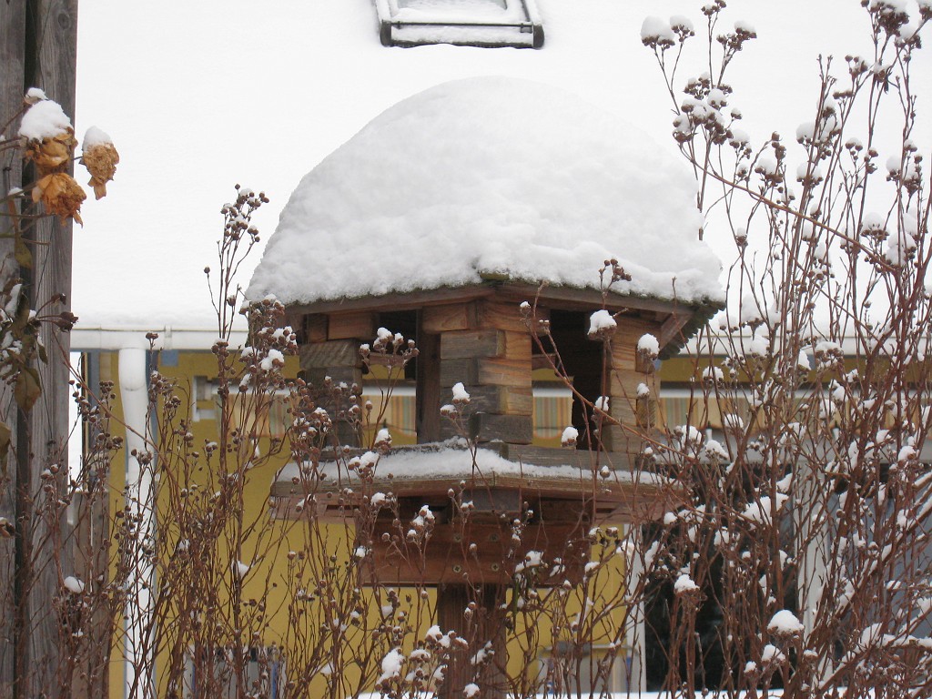 X_IMG_1943.JPG - Snow covered birdhouse