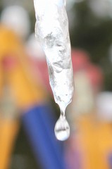 Drop hanging from an icicle