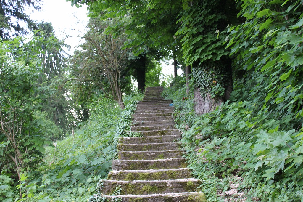 IMG_5937.JPG - Path to Schloss Lenzburg  http://en.wikipedia.org/wiki/Schloss_Lenzburg 