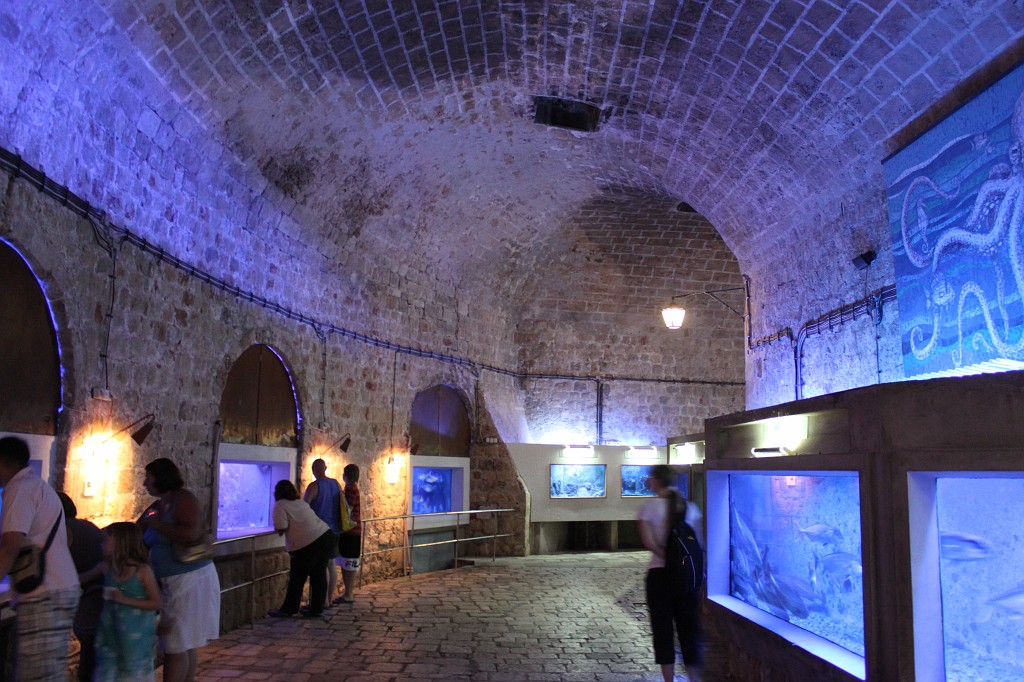 IMG_7613.JPG - Dubrovnik Aquarium