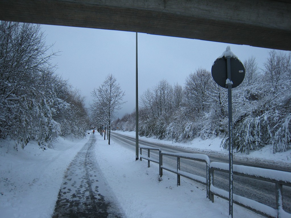 IMG_6555.JPG - Winter around Neu-Anspach