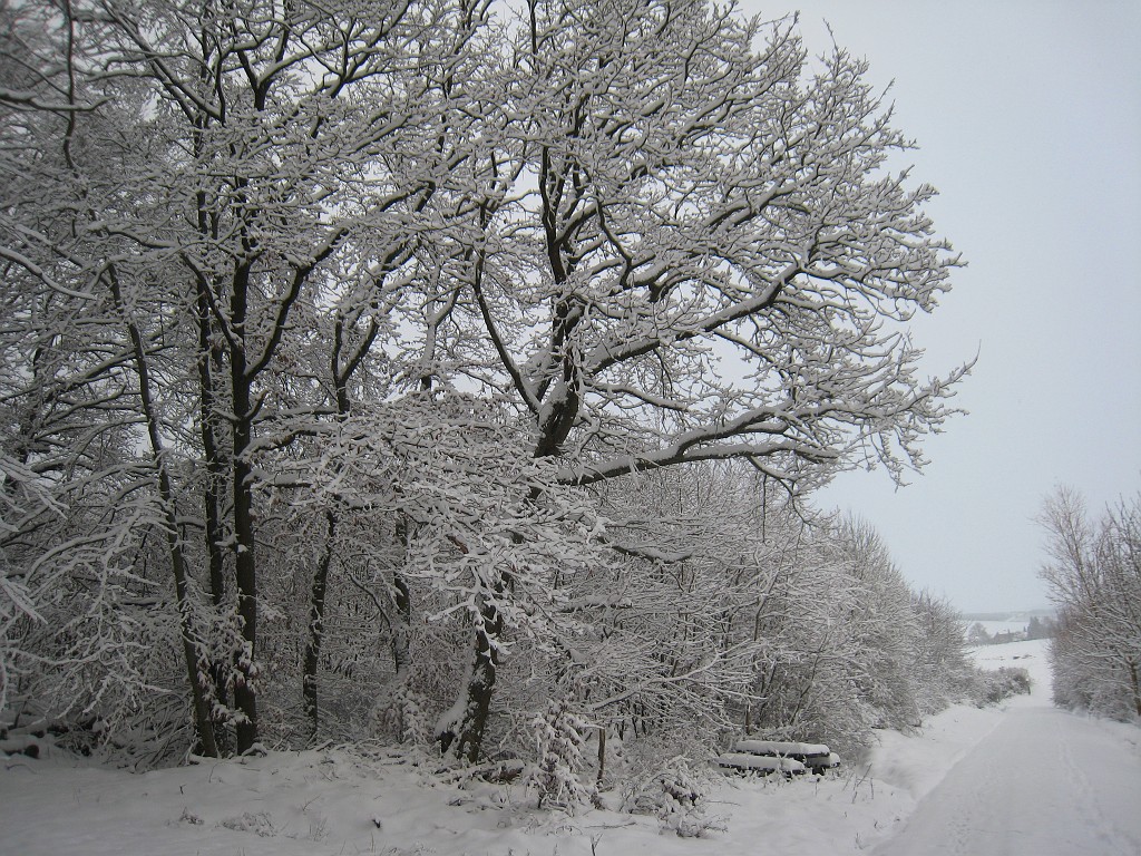 IMG_6595.JPG - Winter around Neu-Anspach