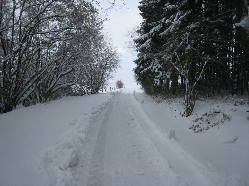 IMG_6604.JPG - Winter around Neu-Anspach