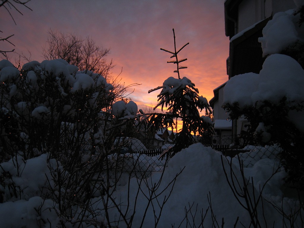 IMG_6607.JPG - Winter around Neu-Anspach