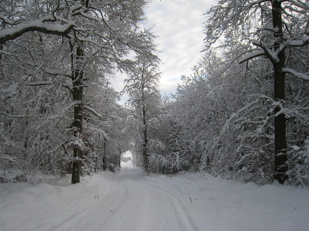 IMG_6650.JPG - Winter around Neu-Anspach