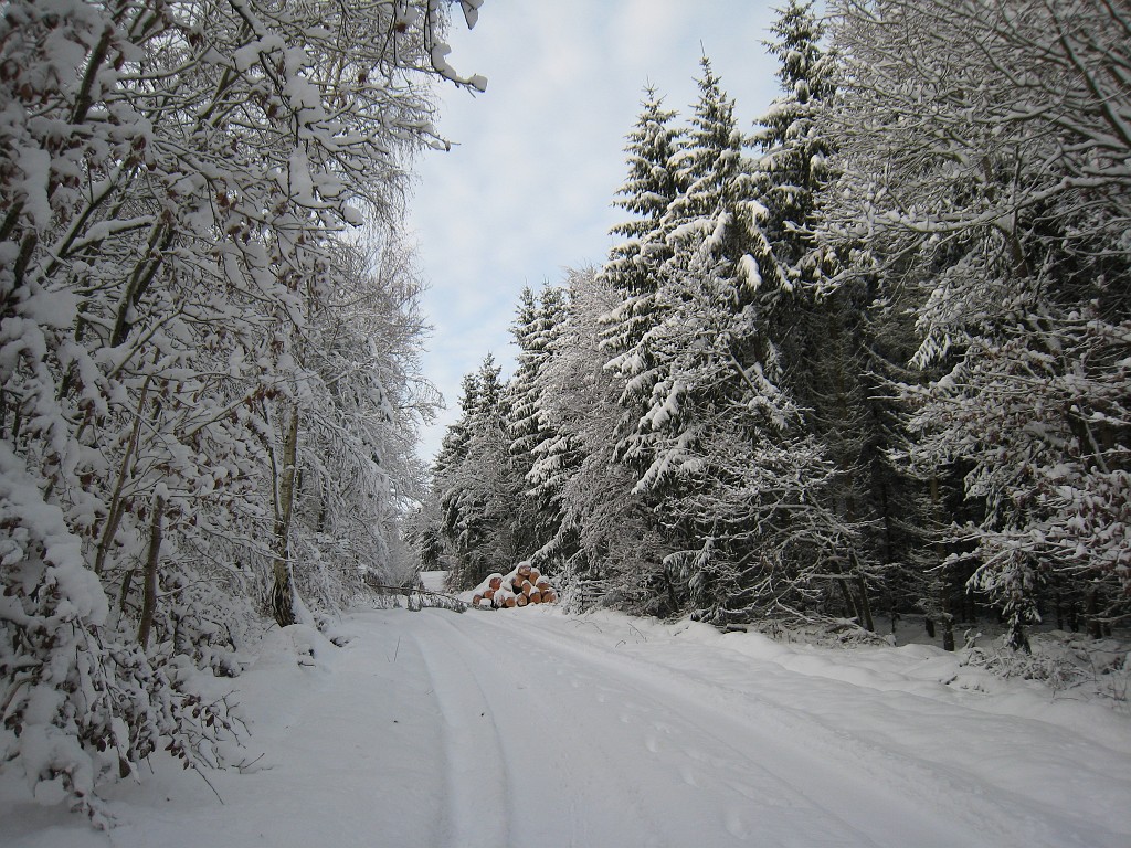 IMG_6651.JPG - Winter around Neu-Anspach