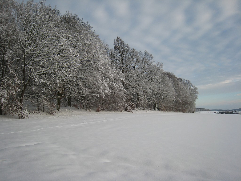 IMG_6676.JPG - Winter around Neu-Anspach