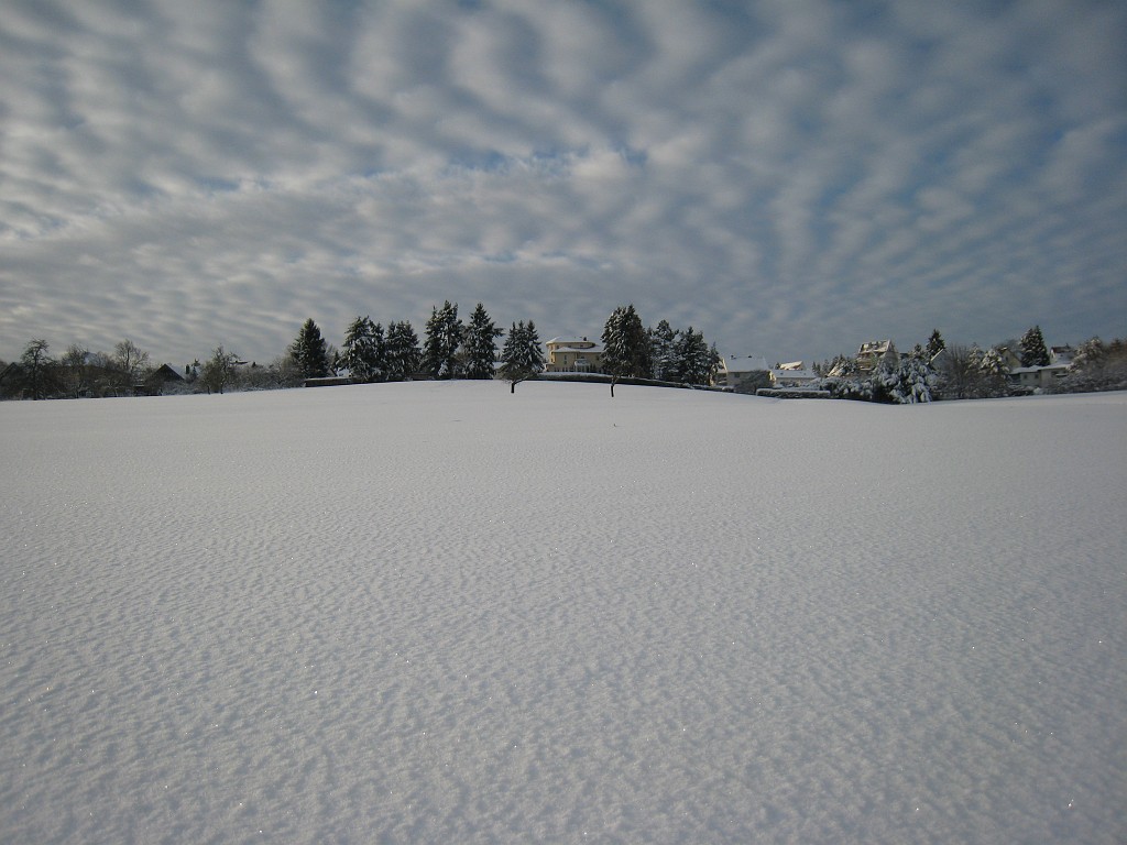 IMG_6687.JPG - Winter around Neu-Anspach