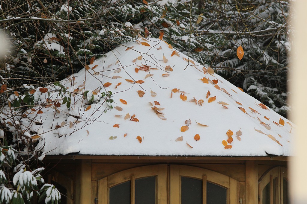 IMG_8642.JPG - Snow covered hut