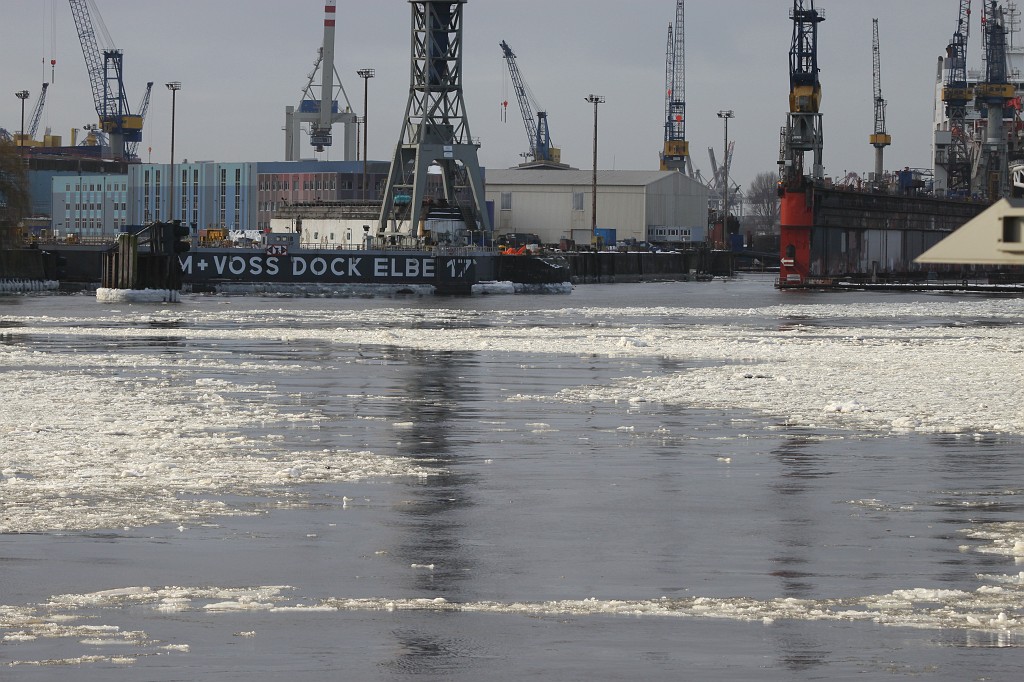 IMG_9719.JPG - Icy Port of Hamburg