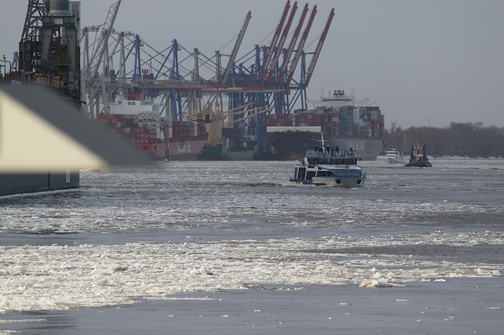 IMG_9720.JPG - Icy Port of Hamburg