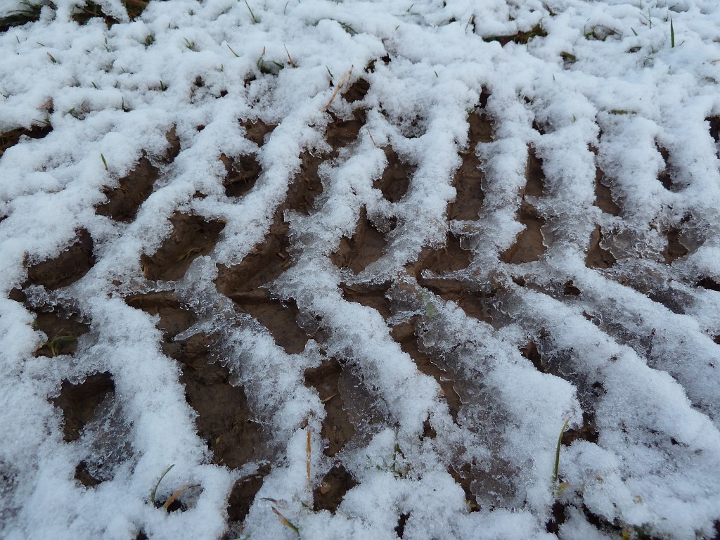 P1020396.JPG - Snow patterns