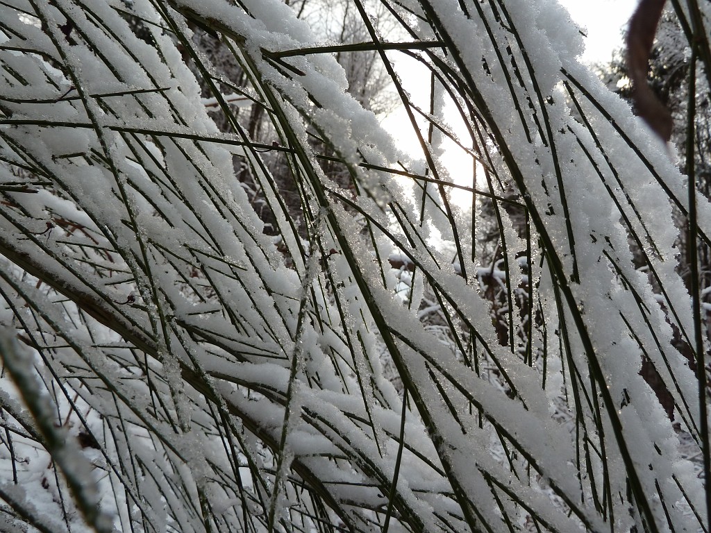 P1020402.JPG - Snow patterns