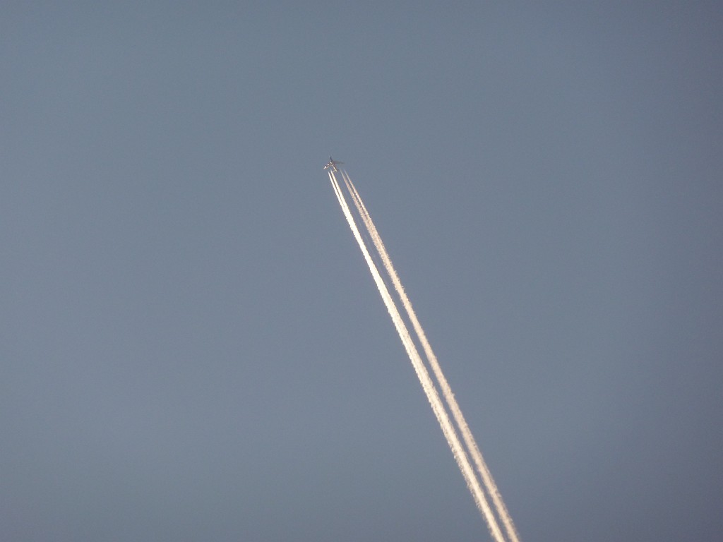 P1020990.JPG - Plane flying in the morning