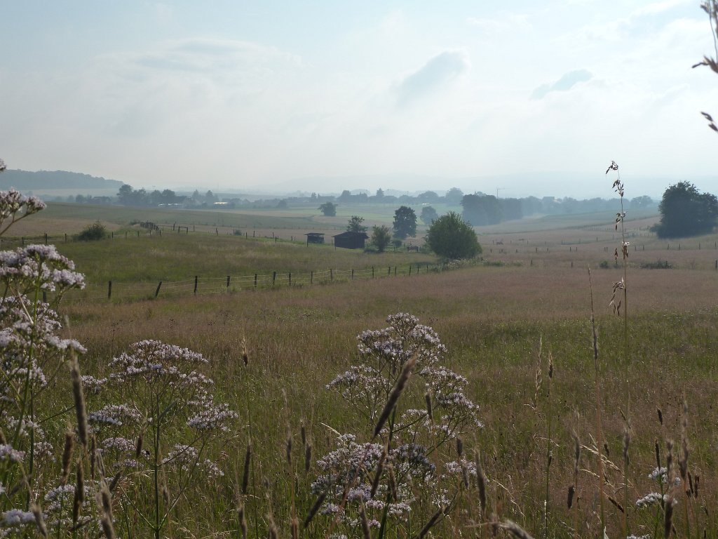 P1030782.JPG - Grassland