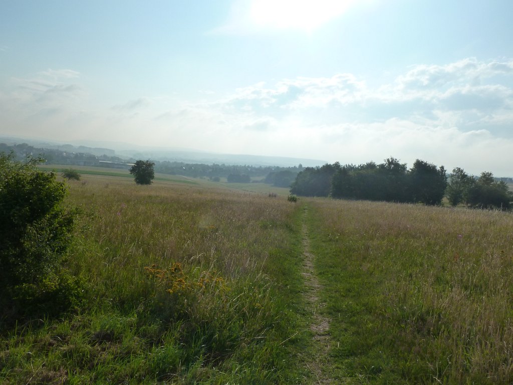 P1030787.JPG - Grassland