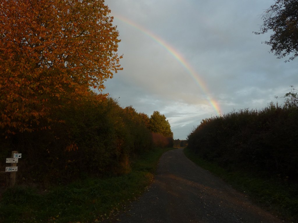 P1050555.JPG - Path under rainbow