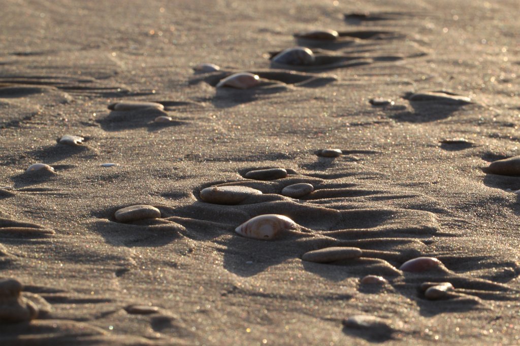 IMG_9576.JPG - Shells on the beach